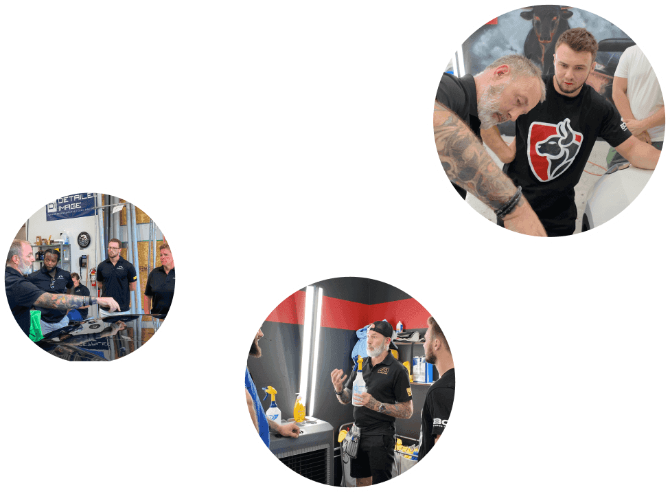 window tint training